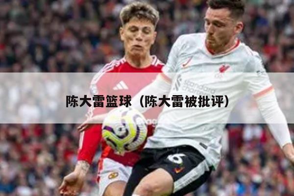 陈大雷篮球（陈大雷被批评）