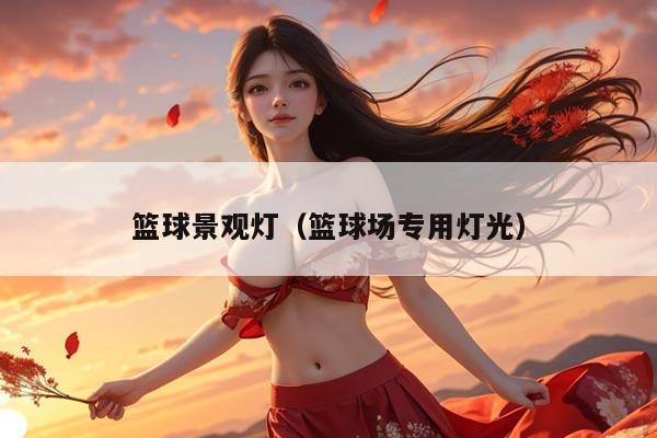 篮球景观灯（篮球场专用灯光）