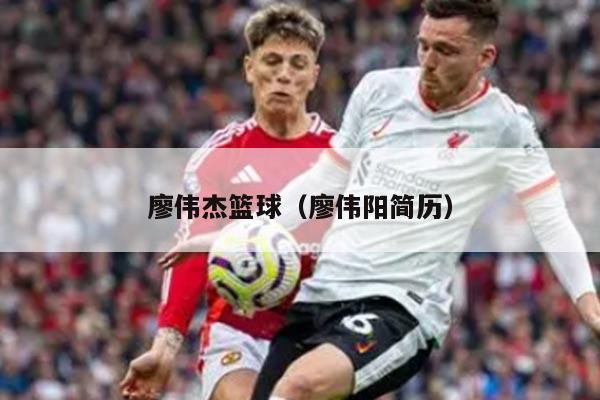 廖伟杰篮球（廖伟阳简历）