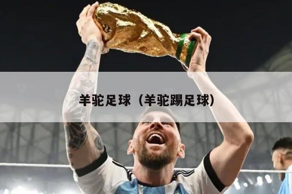 羊驼足球（羊驼踢足球）